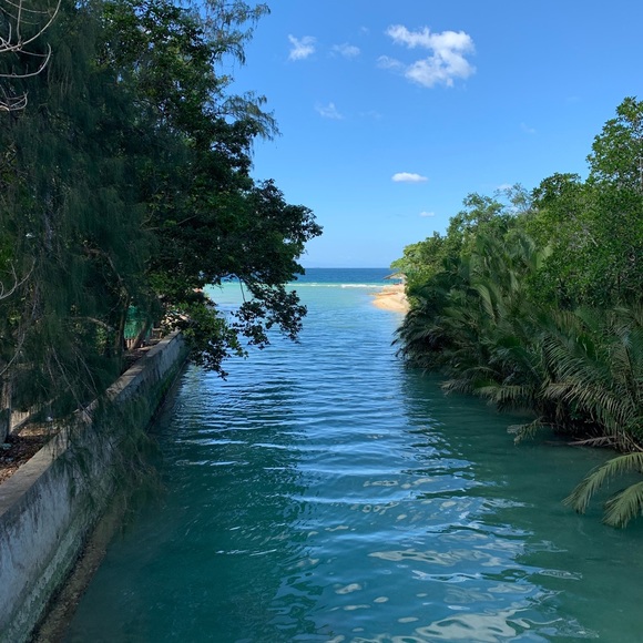 Meet your Posher, Tara - Picture 1 of 1